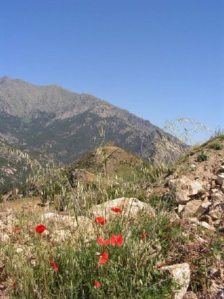 Das Sure Basen Gleichgewicht beim Wandern und Fasten