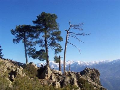 Fasten und Wandern im Gebirge von Korsika